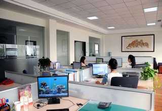 网站建设团队崇左网站建设